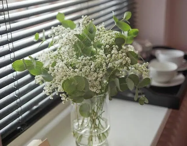 The Alma Taverns Boutique - 1 - Hopewell Holiday home